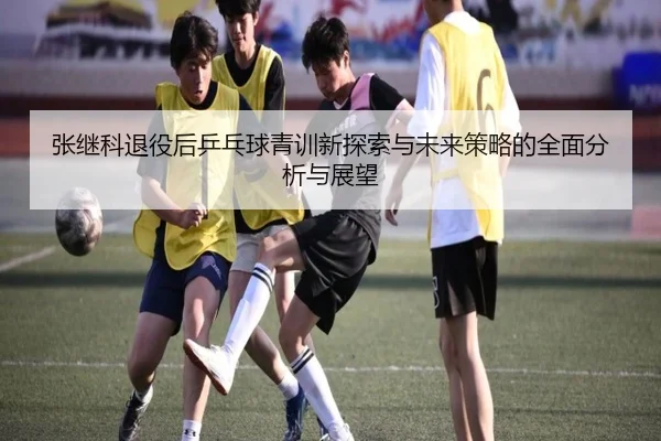 张继科退役后乒乓球青训新探索与未来策略的全面分析与展望